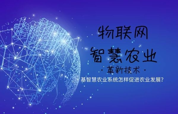 &#108;&#101;&#121;&#117;&#20048;&#40060;