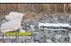 &#108;&#101;&#121;&#117;&#20048;&#40060;