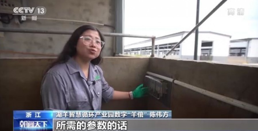 &#108;&#101;&#121;&#117;&#20048;&#40060;